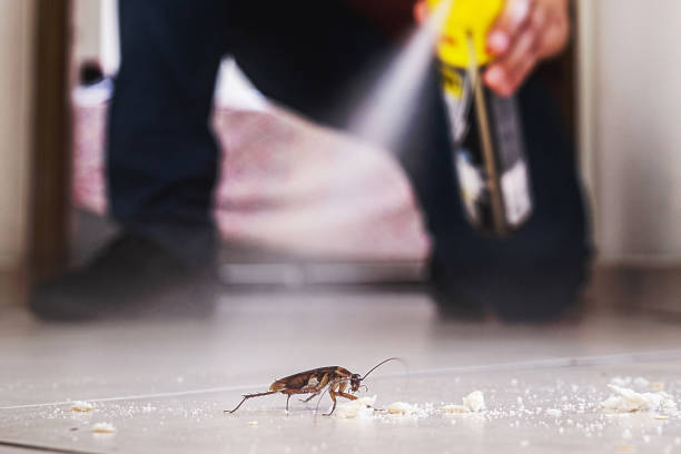 Reliable St Helen, MI Pest Control Solutions